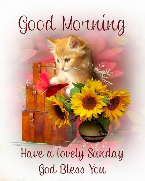 70+ Best Inspiring Good Morning Sunday Quotes & Blessings - picture 2