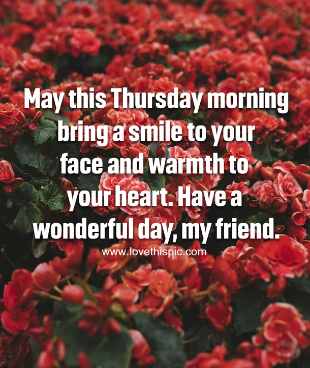 70 Good Morning Happy Thursday Quotes For A Good Day - picture 4