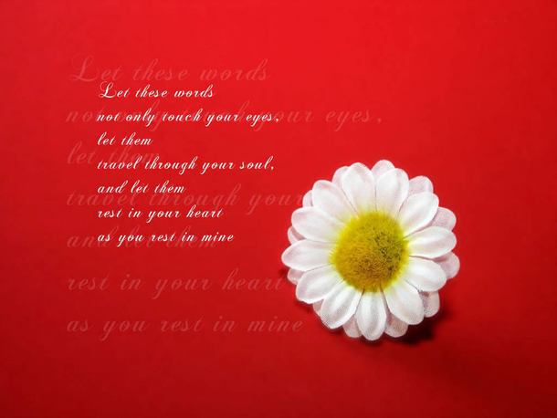 70 Valentine's Day Quotes And Sayings - picture 36