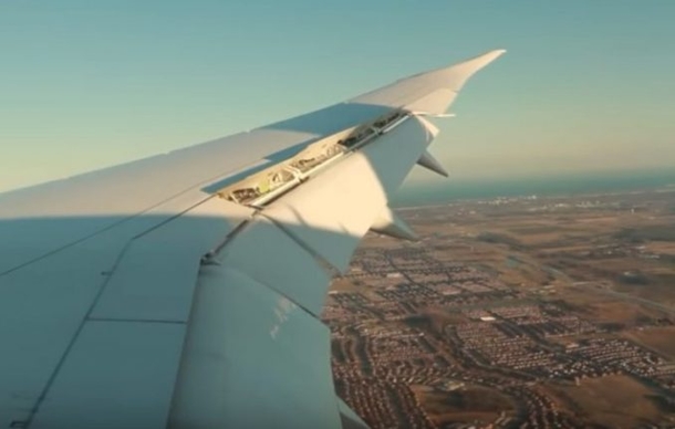 71-Year-Old Grandma Thrown Off Plane, Airline’s Reason Has Everyone Angry - picture 2