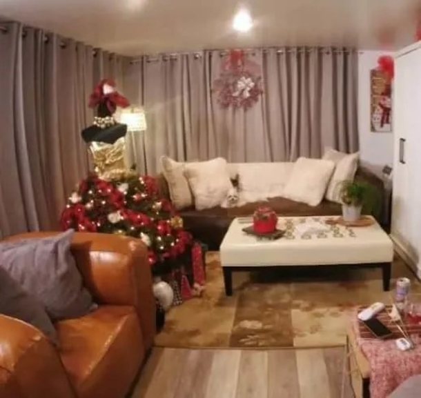 72-Year-Old Woman On Fixed Income Builds Beautiful Tiny Home with Spacious Sunroom and Finds Joy in Simplicity - picture 10