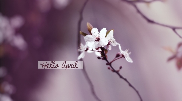 75 Hello April Quotes & Sayings - picture 14