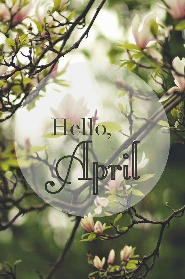 75 Hello April Quotes & Sayings - picture 40