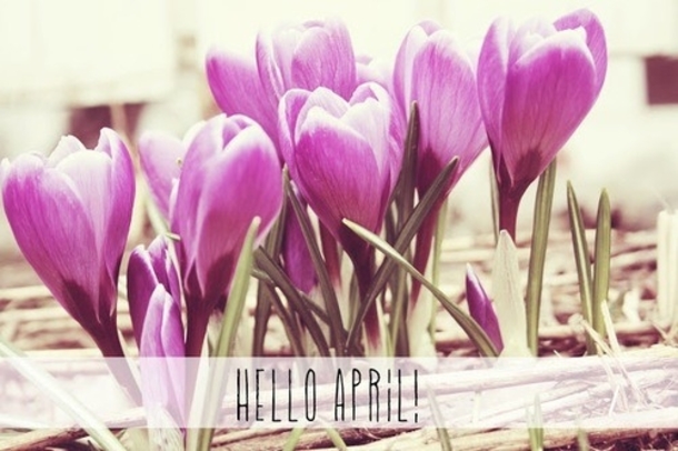 75 Hello April Quotes & Sayings - picture 69