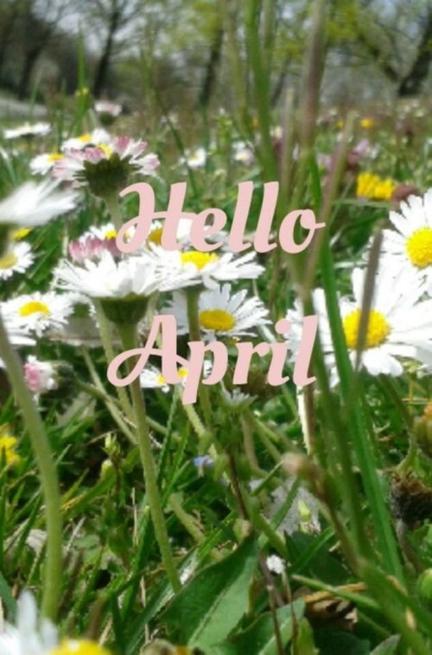 75 Hello April Quotes & Sayings - picture 76