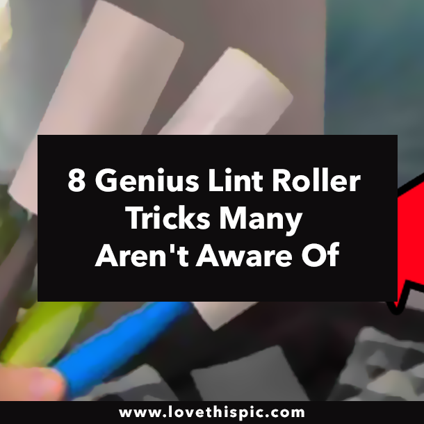 8 Genius Lint Roller Tricks Many Aren't Aware Of