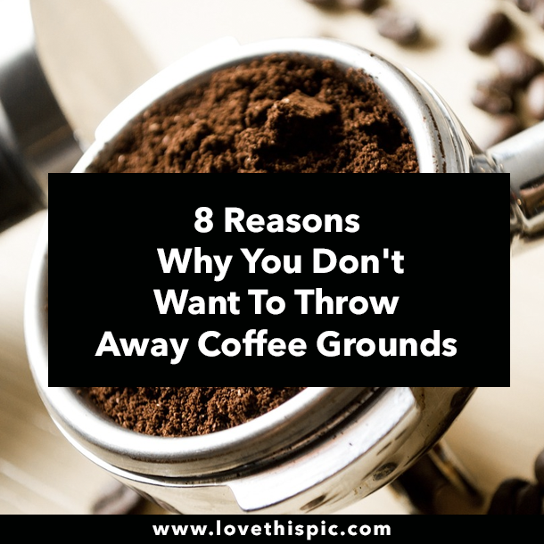 8 Reasons Why You Don't Want To Throw Away Coffee Grounds