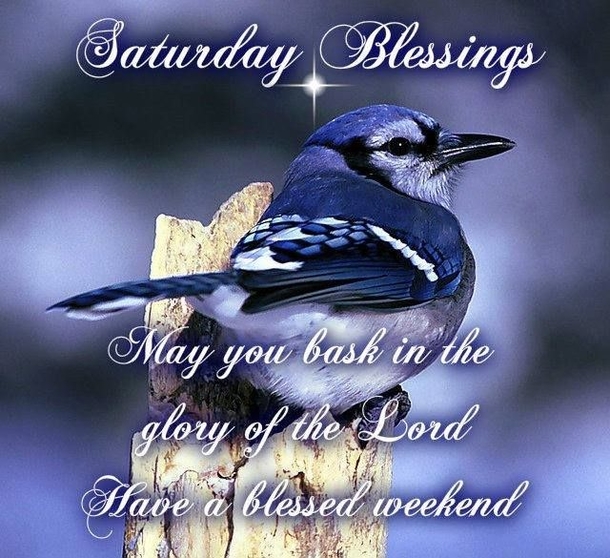 80 Saturday Blessing Quotes - picture 43