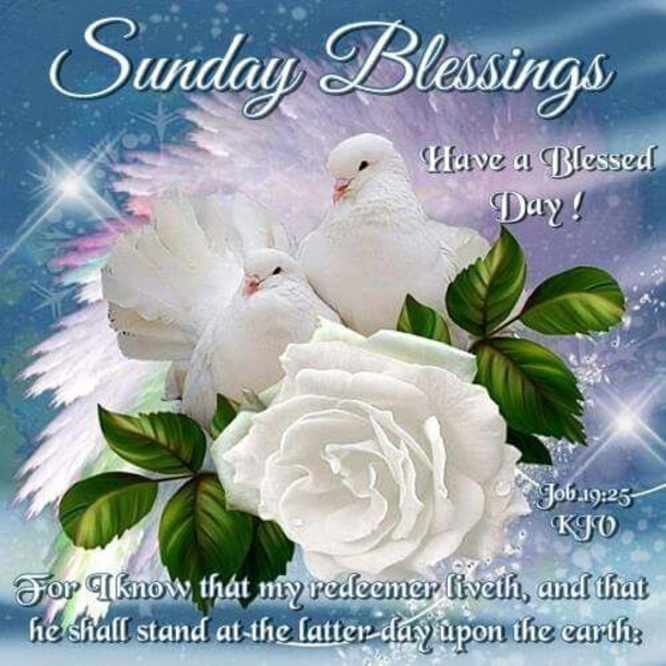 80 Sunday Blessings & Greetings - picture 14