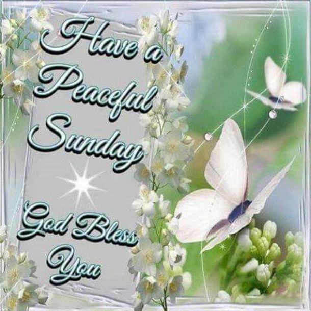 80 Sunday Blessings & Greetings - picture 2