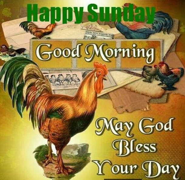 80 Sunday Blessings & Greetings - picture 29