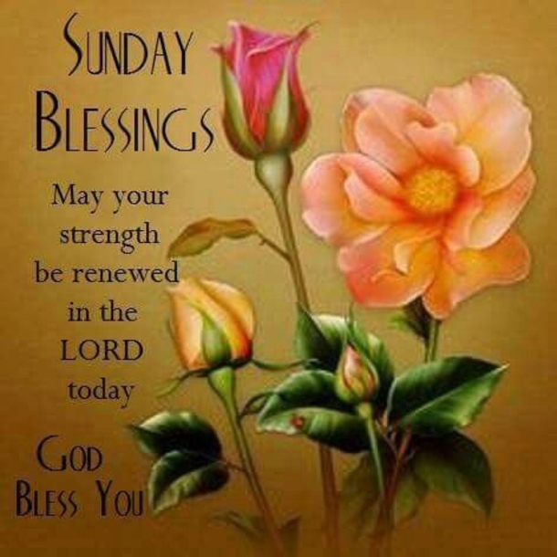 80 Sunday Blessings & Greetings - picture 31