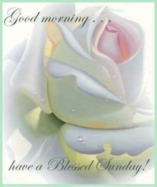 80 Sunday Blessings & Greetings - picture 47