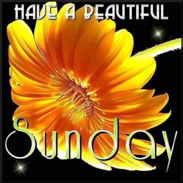 80 Sunday Blessings & Greetings - picture 50