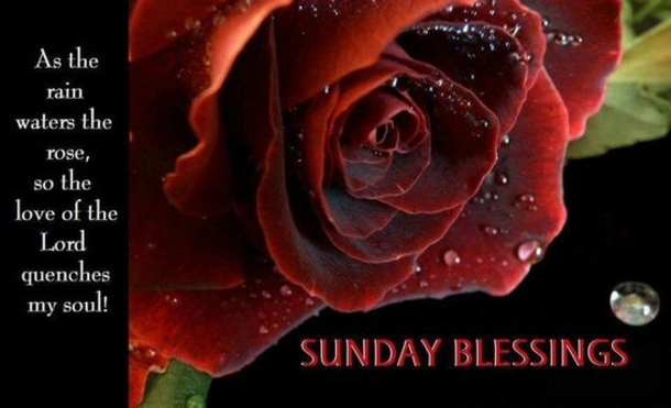 80 Sunday Blessings & Greetings - picture 53