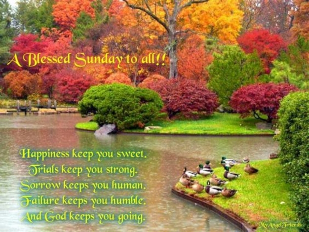 80 Sunday Blessings & Greetings - picture 54