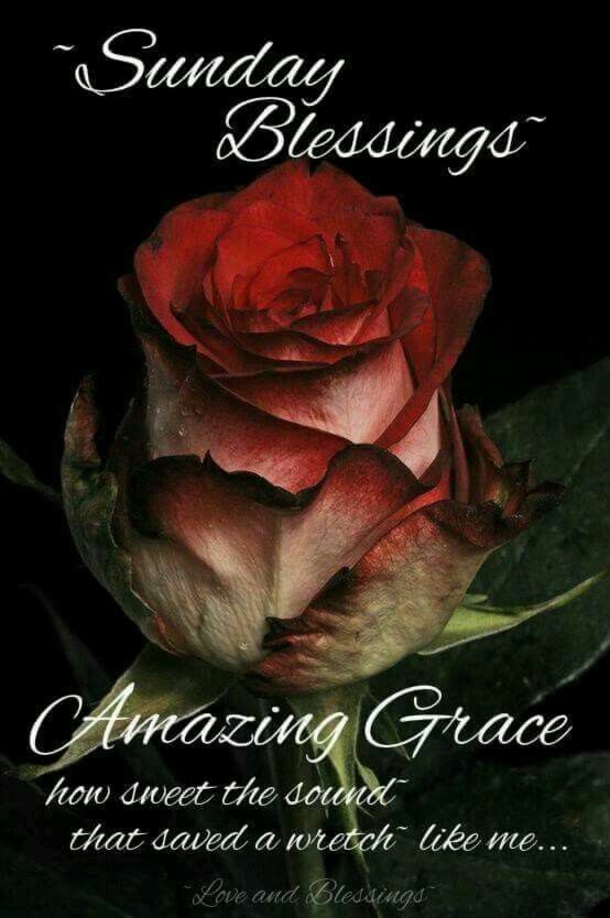 80 Sunday Blessings & Greetings - picture 57