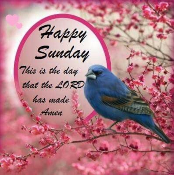80 Sunday Blessings & Greetings - picture 59