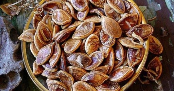 800 Year Old Seeds Are Planted In This Garden. What Grows Is Incredible - picture 3
