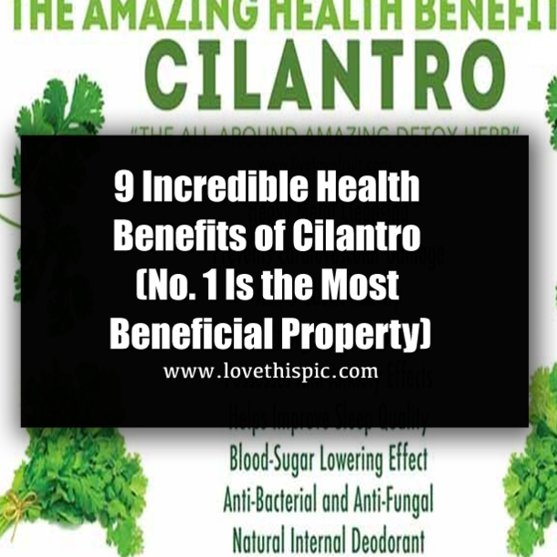 9 Incredible Health Benefits of Cilantro (No. 1 Is the Most Beneficial Property)