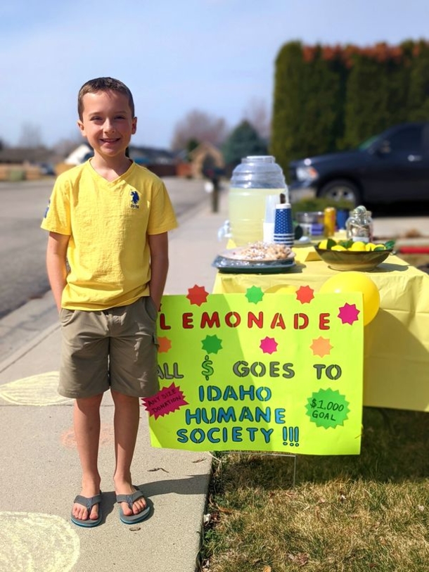9-year-old boy lemonade stand raises $2,000 for shelter cats - picture 2
