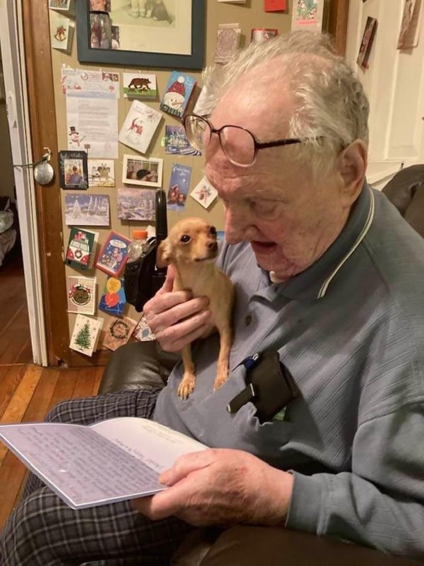 95-Year-Old Widower, gets over 15,000 cards from strangers around the world after death of wife, who loved Christmas - picture 2
