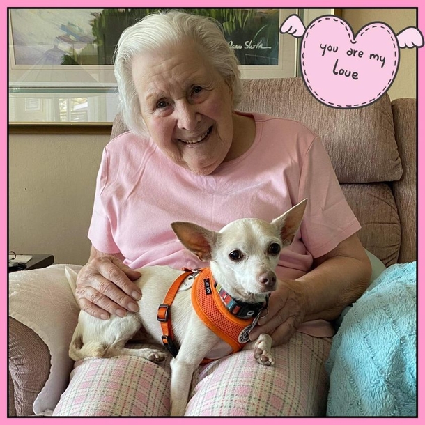A beautiful match: 11-year-old senior dog gets adopted by 100-year-old woman - picture 3