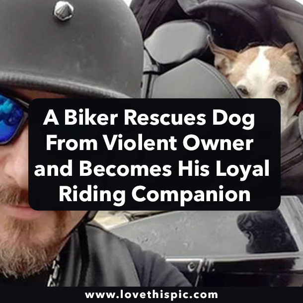A Biker Rescues Dog From Violent Owner and Becomes His Loyal Riding Companion