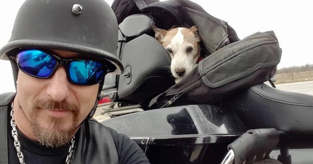 A Biker Rescues Dog From Violent Owner and Becomes His Loyal Riding Companion - picture 2