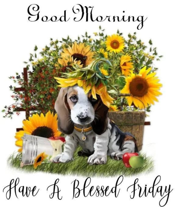 A Blessed Friday Is Here: Here's 10 Friday Quotes To Make Your Day Incredible - picture 3