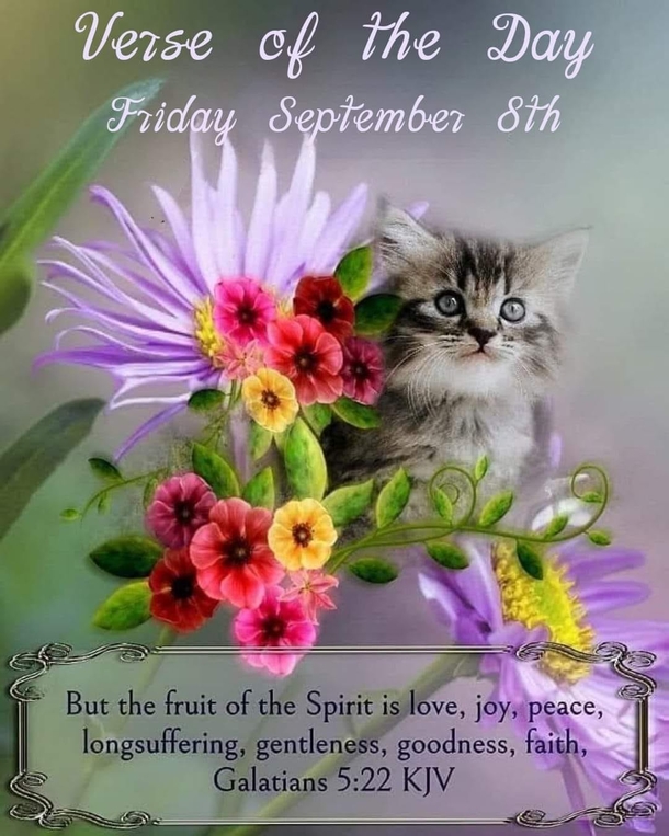A Blessed Friday Is Here: Here's 10 Friday Quotes To Make Your Day Incredible - picture 5
