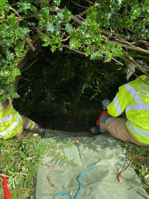 A Cat's meow leads Officers to missing 83-year-old woman who fell into ravine - picture 3
