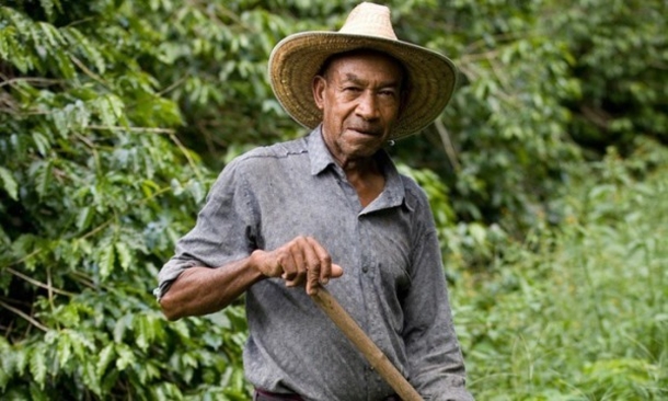 A Columbian Farmer Finds Drug Money Worth $600,000,000 Buried By Pablo Escobar - picture 6