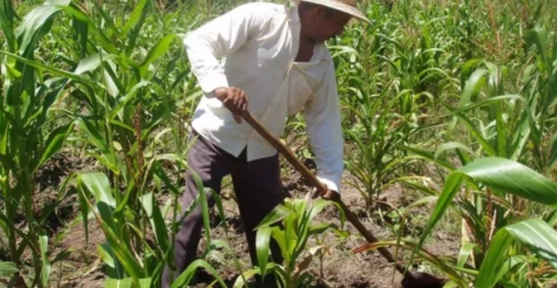 A Columbian Farmer Finds Drug Money Worth $600,000,000 Buried By Pablo Escobar - picture 7
