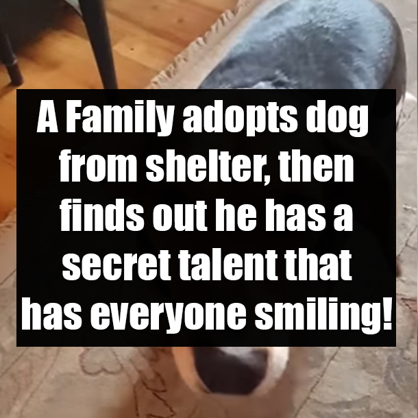 A Family adopts dog from shelter, then finds out he has a secret talent that has everyone smiling!
