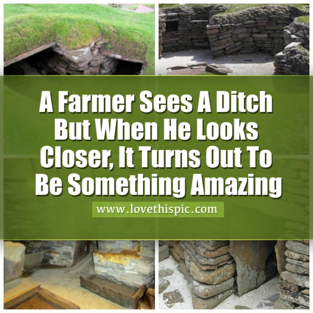 A Farmer Sees A Ditch But When He Looks Closer, It Turns Out To Be Something Amazing