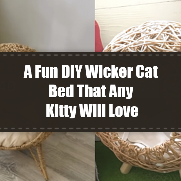 A Fun DIY Wicker Cat Bed That Any Kitty Will Love