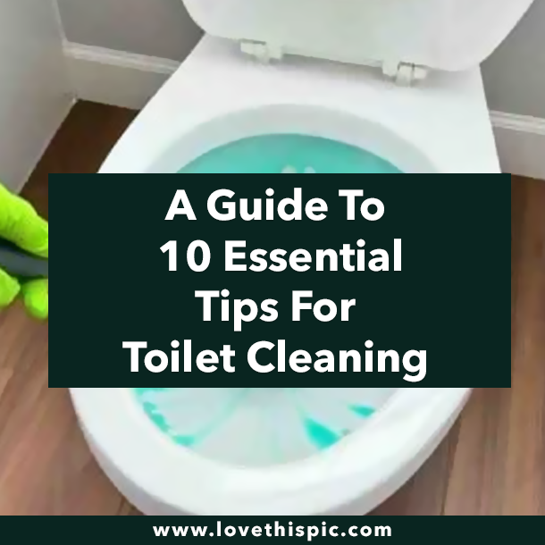 A Guide To 10 Essential Tips For Toilet Cleaning