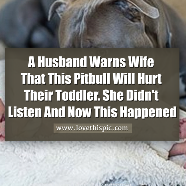 A Husband Warns Wife That This Pitbull Will Hurt Their Toddler. She Didn't Listen And Now This Happened