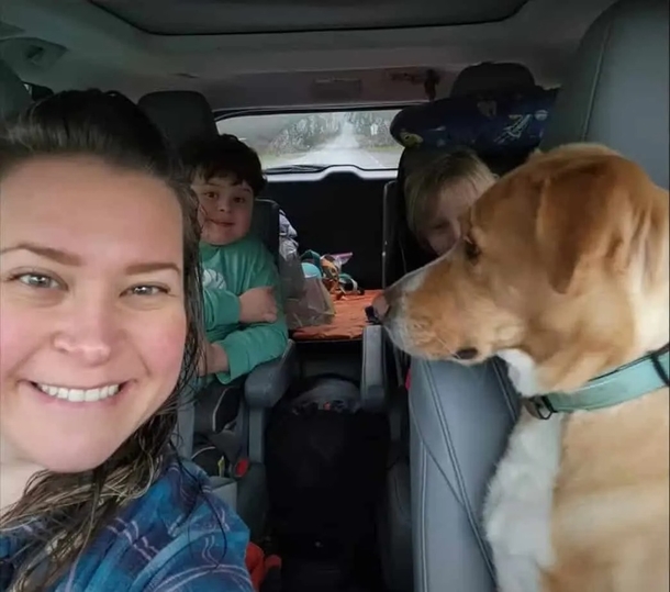 A husky with a lopsided face discovers his forever family, who travel over 2,000 miles to adopt him. - picture 3