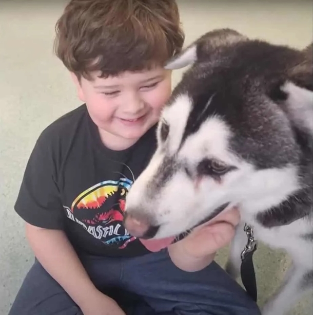 A husky with a lopsided face discovers his forever family, who travel over 2,000 miles to adopt him. - picture 4