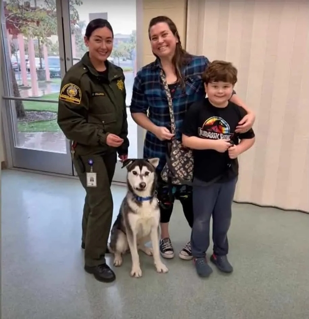 A husky with a lopsided face discovers his forever family, who travel over 2,000 miles to adopt him. - picture 6