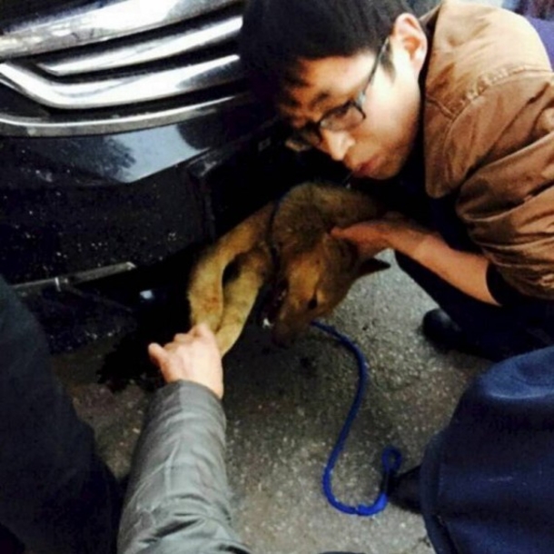 A Man In China Was 200 Miles Into His Road Trip When He Heard Loud Barking.. - picture 4