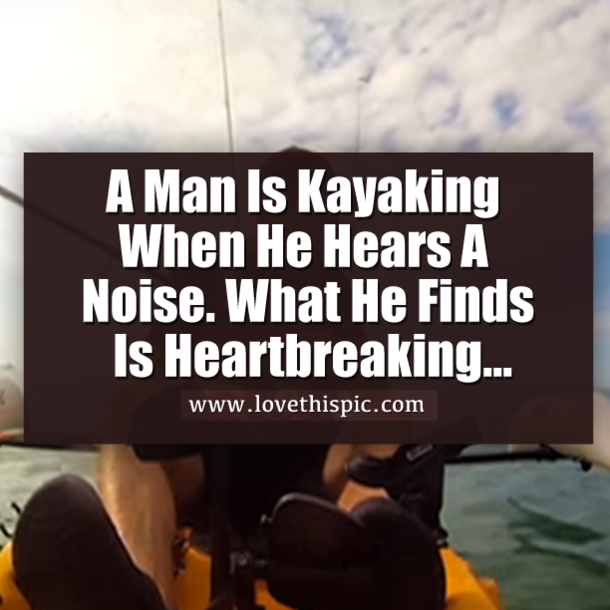 A Man Is Kayaking When He Hears A Noise. What He Finds Is Heartbreaking…