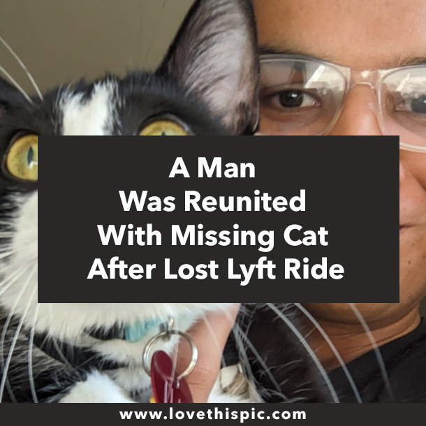 A Man Was Reunited With Missing Cat After Lost Lyft Ride