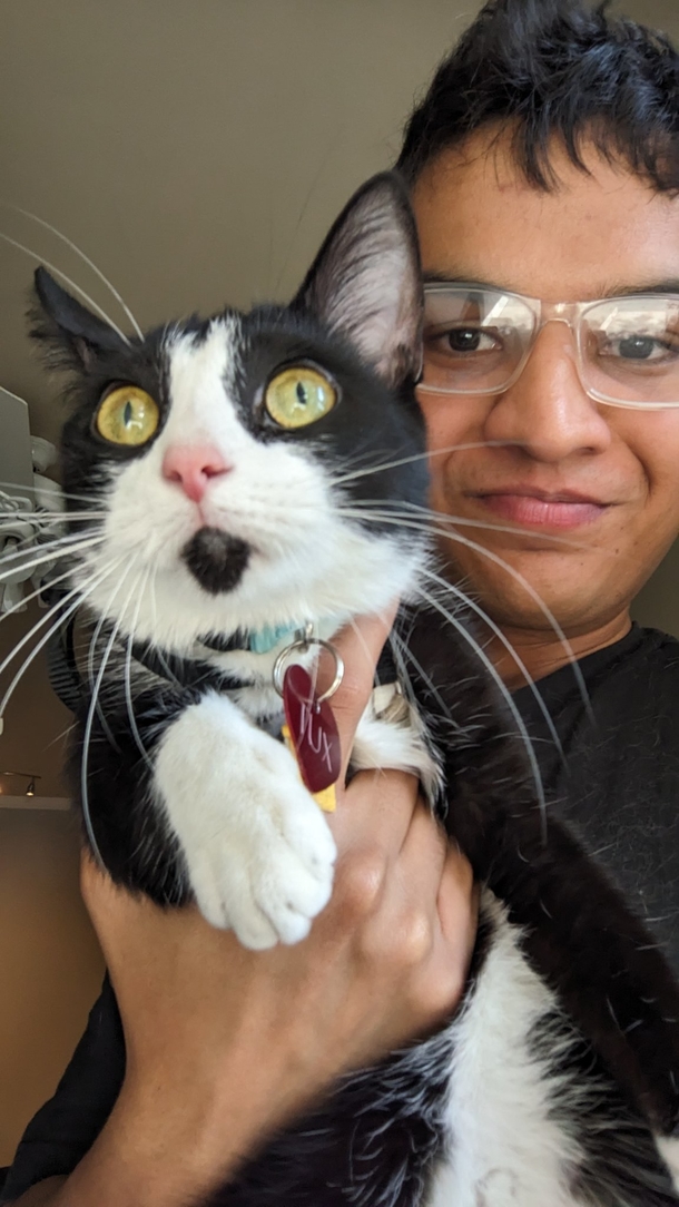 A Man Was Reunited With Missing Cat After Lost Lyft Ride - picture 3
