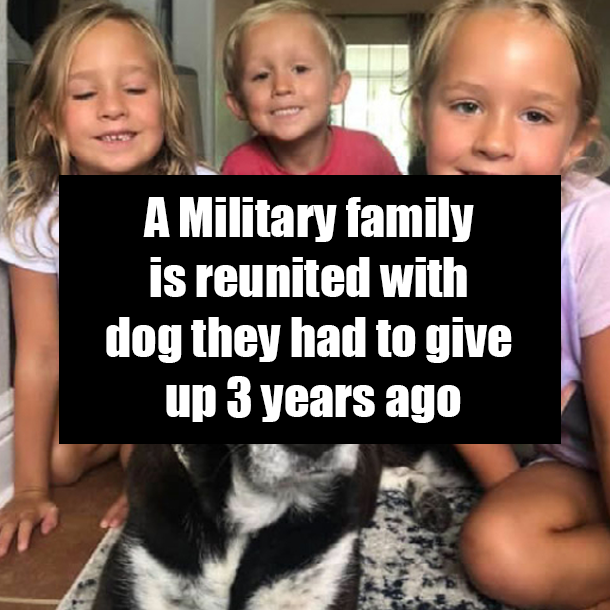 A Military family is reunited with dog they had to give her up 3 years ago