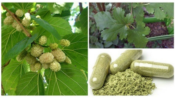 A Plant That Grows Everywhere. It Can Treat Tumors, Hypertension And Diabetes And You Didn’t Know This! - picture 2