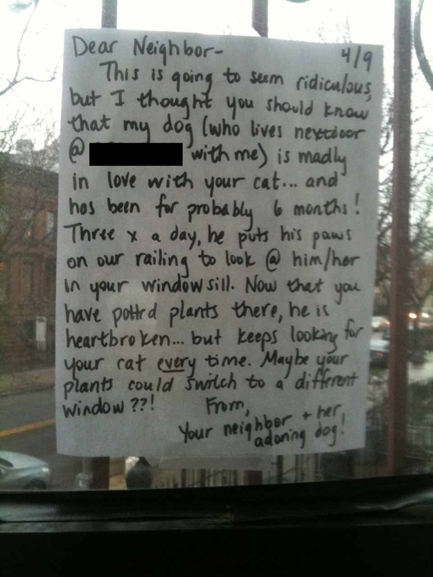 A Sad Dog Would Look Out The Window All Day But Suddenly A Note Appears With A Message - picture 4