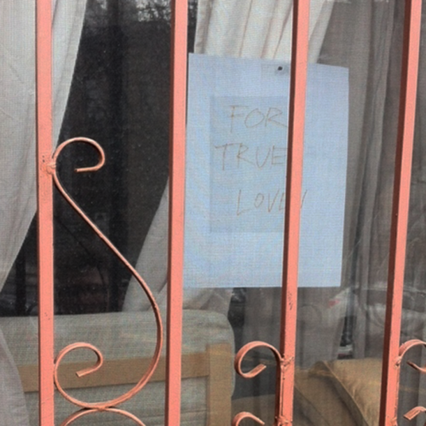 A Sad Dog Would Look Out The Window All Day But Suddenly A Note Appears With A Message - picture 5